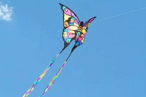 娱乐吃瓜酱风筝,从“421文件”看隐秘的瓜田风云