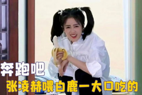 娱乐吃瓜直播白鹿,娱乐界新热点