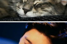 娱乐吃瓜猫嘎嘎