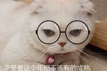 娱乐吃瓜君和刘二豆,网红刘二豆的消失与回归