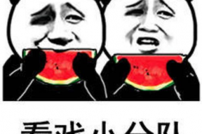 吃瓜娱乐小狗表情包,萌宠界的搞笑担当