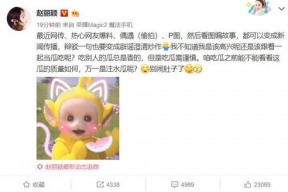 娱乐圈吃瓜元素表赵丽颖