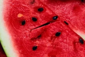 娱乐吃瓜背景图高清竖屏,高清竖屏下的娱乐圈风云